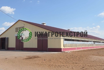 Построили телятник на 240 голов от 0 до 2 месяцев для СПК (колхоз) имени Куйбышева Кинельского района Самарской области